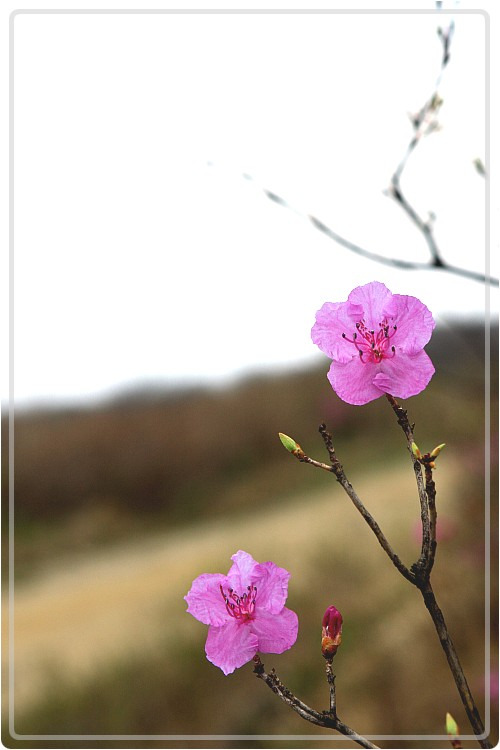 명립 이미지