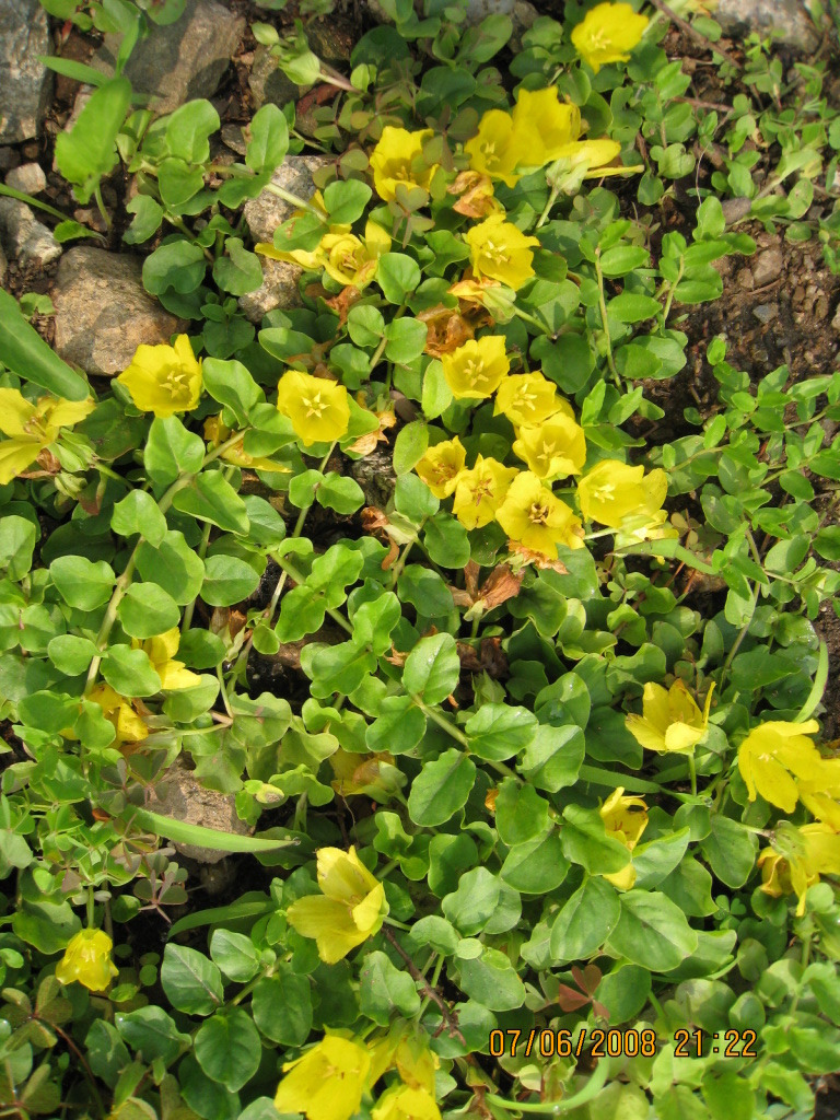 �̹����� Ŭ���ϸ� ������ ���� �� �ֽ��ϴ�.