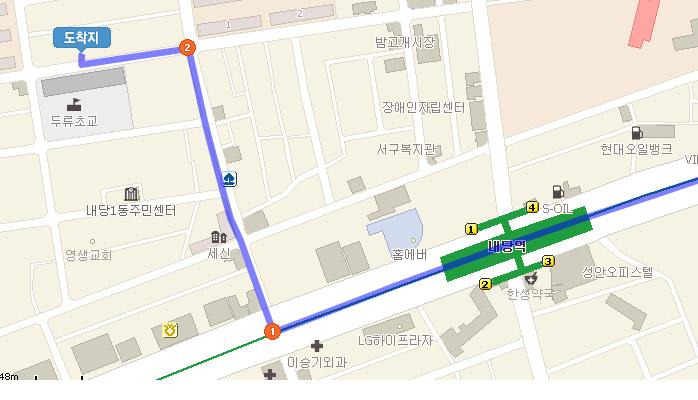 돼지사랑 이미지