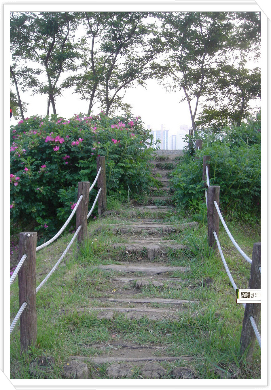 �̹����� Ŭ���ϸ� ������ ���� �� �ֽ��ϴ�.