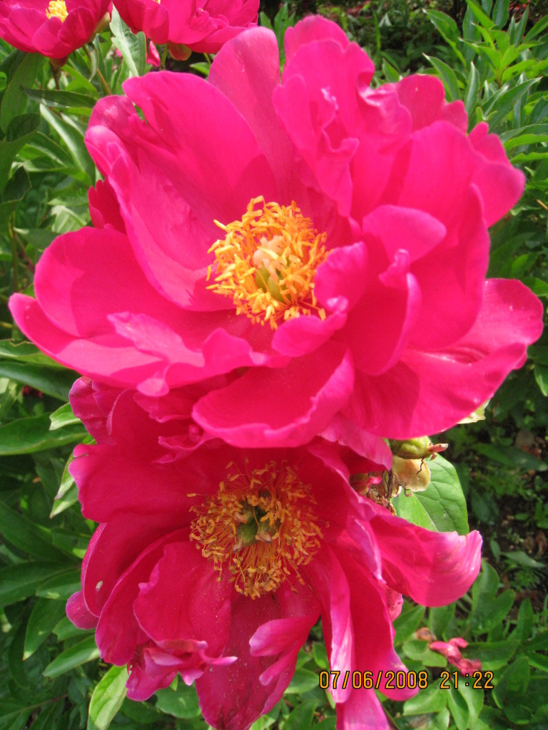 �̹����� Ŭ���ϸ� ������ ���� �� �ֽ��ϴ�.