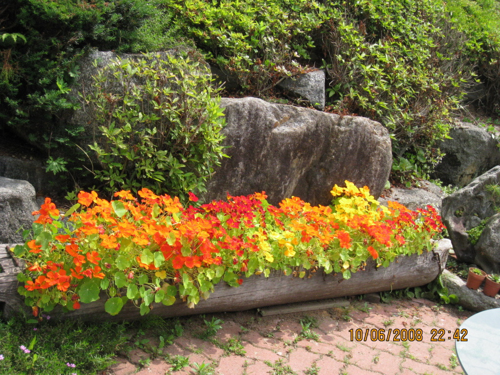 �̹����� Ŭ���ϸ� ������ ���� �� �ֽ��ϴ�.