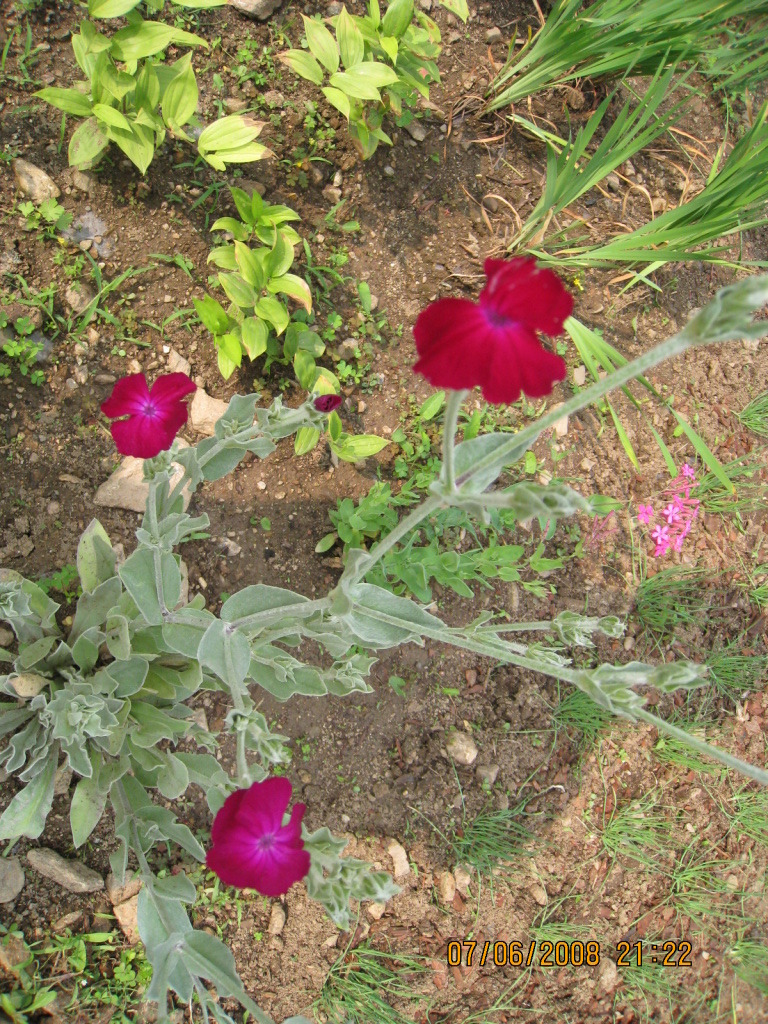 �̹����� Ŭ���ϸ� ������ ���� �� �ֽ��ϴ�.