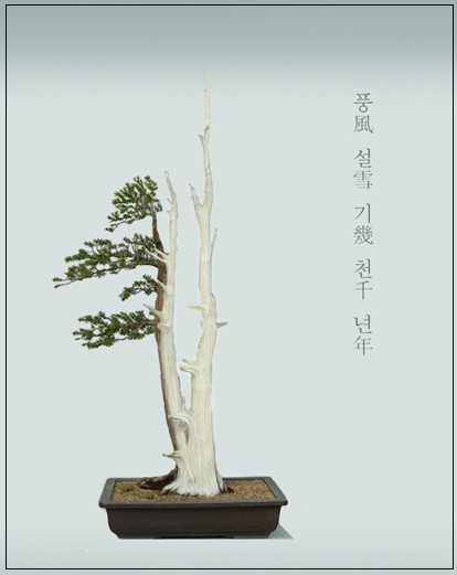 자연스토리 이미지