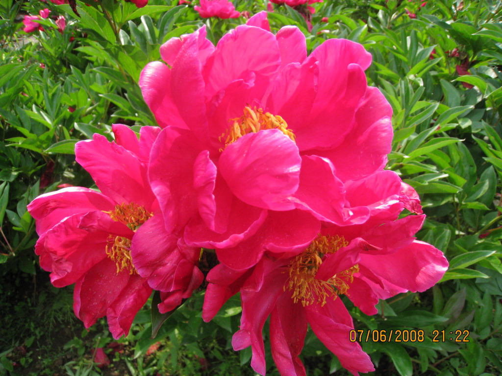 �̹����� Ŭ���ϸ� ������ ���� �� �ֽ��ϴ�.