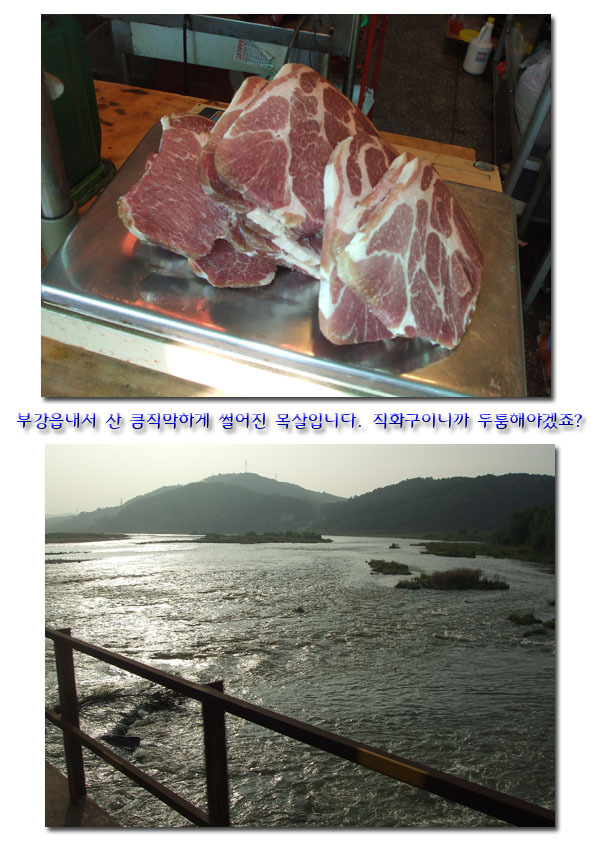 파랑나루 이미지