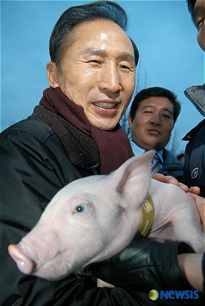 흥분돼지 이미지