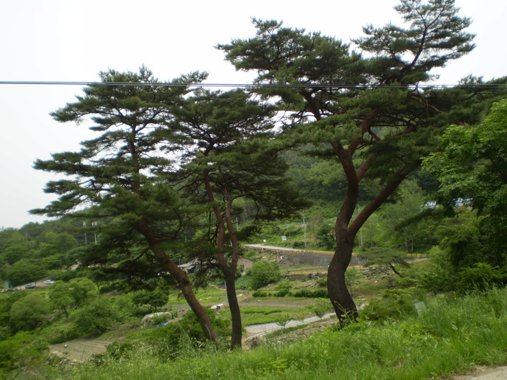 먹는풍경 이미지