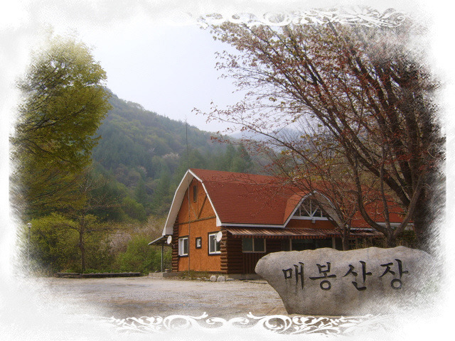 매봉산장 이미지