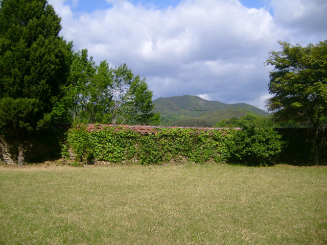 �̹����� Ŭ���ϸ� ������ ���� �� �ֽ��ϴ�.