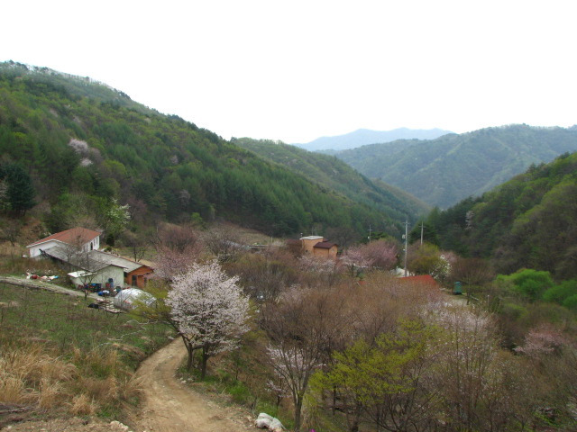 매봉산장 이미지