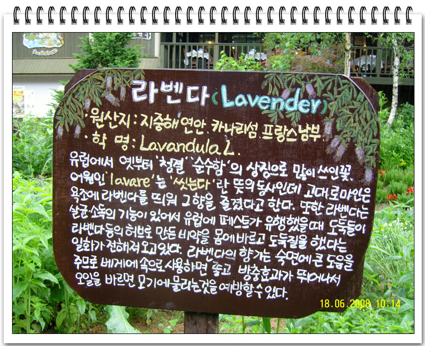 허브나라농원 이미지